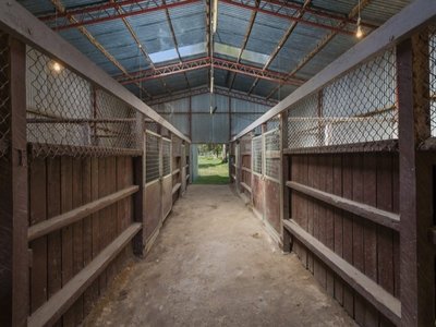 255 KERRIE ROAD, Kerrie