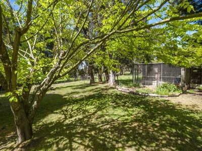 255 KERRIE ROAD, Kerrie