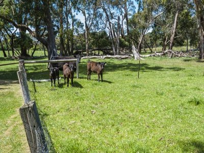 255 KERRIE ROAD, Kerrie