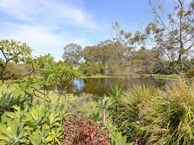4 MAC STOCKS ROAD, Dundowran Beach
