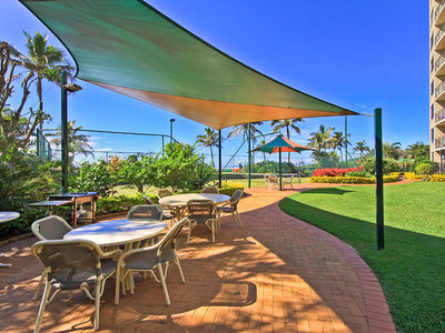 Princess Palm GOLD COAST HWY, Palm Beach