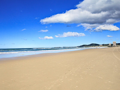 Princess Palm GOLD COAST HWY, Palm Beach