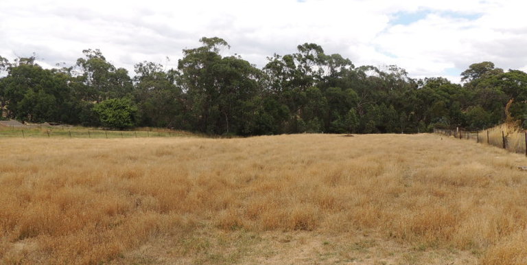 18 Main Street , Strathbogie