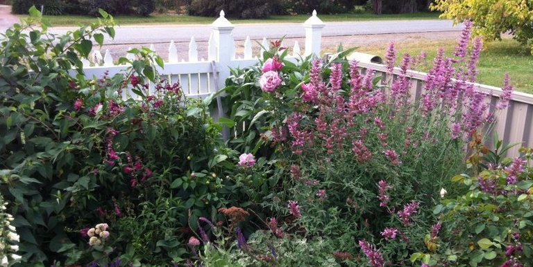10A Sevens Ave, Euroa