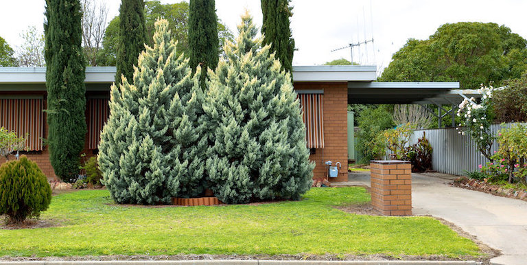 2 / 13 Lewis Street , Euroa