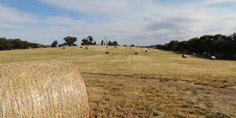 293 Brookleigh Road, Strathbogie