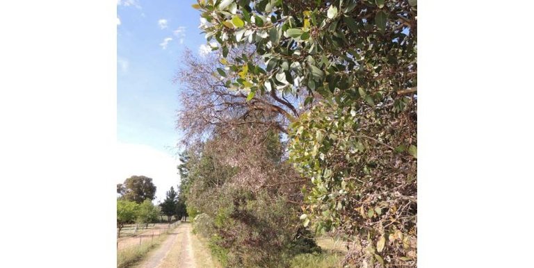 293 Brookleigh Road, Strathbogie