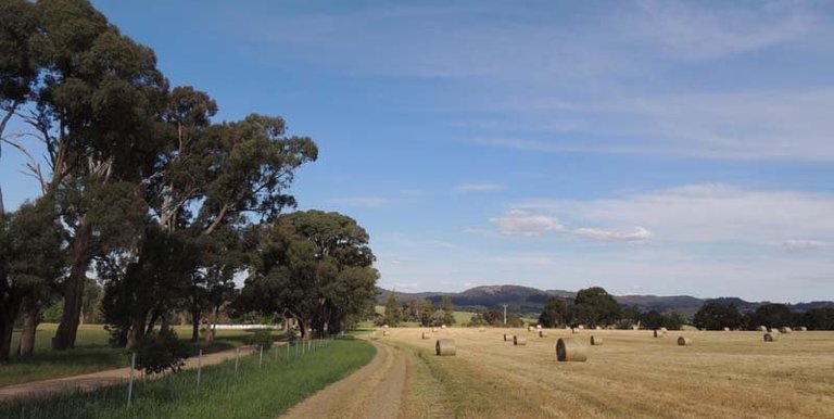 293 Brookleigh Road, Strathbogie