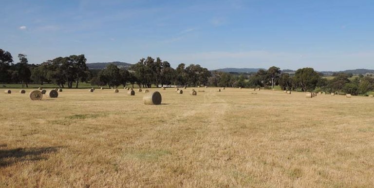 293 Brookleigh Road, Strathbogie