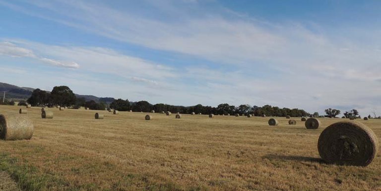 293 Brookleigh Road, Strathbogie