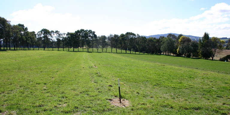 293 Brookleigh Road, Strathbogie