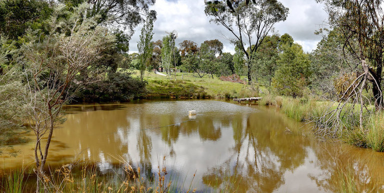 Strathbogie