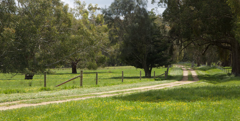 Strathbogie