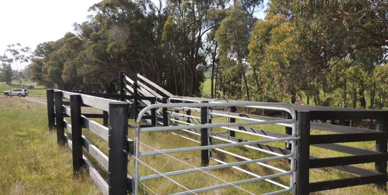 Lot 2, 320 Whites Road, Benalla