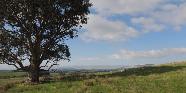 Lot 2, 320 Whites Road, Benalla