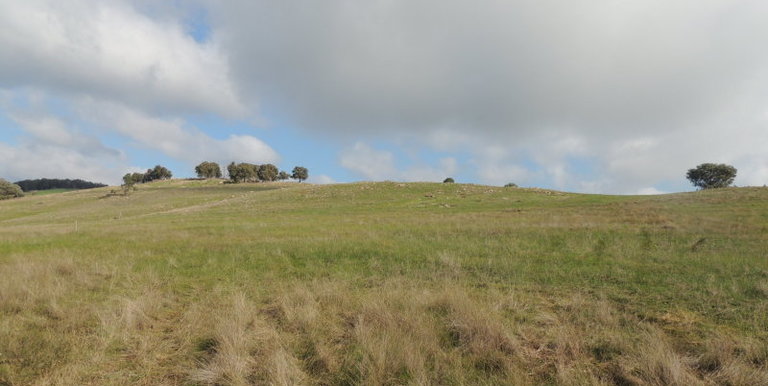 Lot 2, 320 Whites Road, Benalla