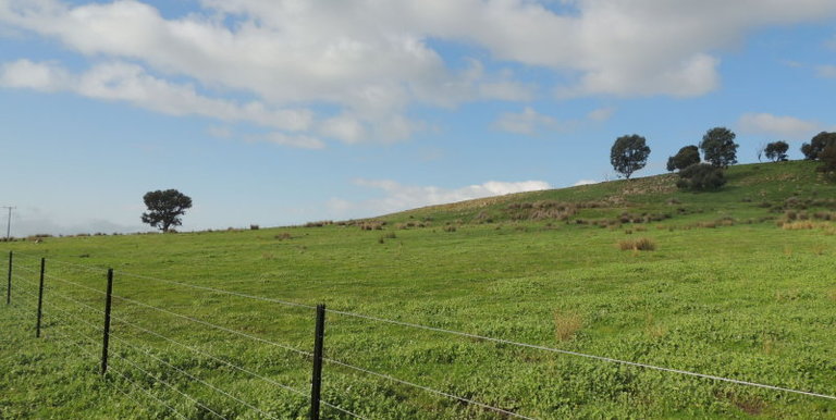 Lot 2, 320 Whites Road, Benalla