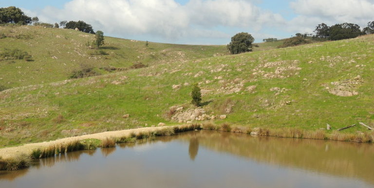 Lot 2, 320 Whites Road, Benalla