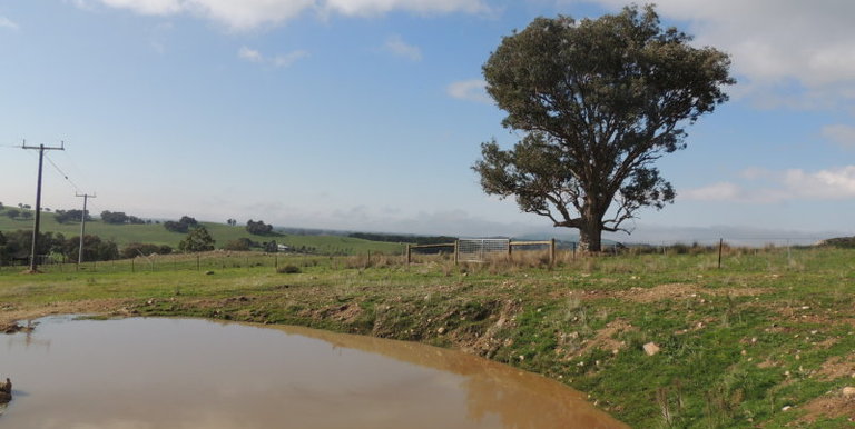 Lot 2, 320 Whites Road, Benalla