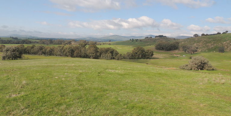 Lot 3, 320 Whites Road, Benalla
