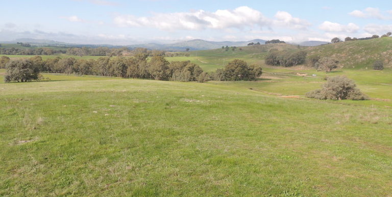 Lot 3, 320 Whites Road, Benalla