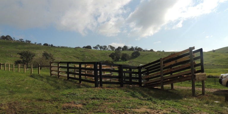 Lot 3, 320 Whites Road, Benalla