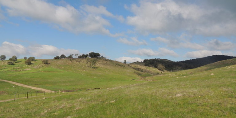 Lot 3, 320 Whites Road, Benalla
