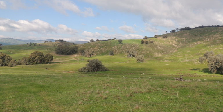 Lot 3, 320 Whites Road, Benalla