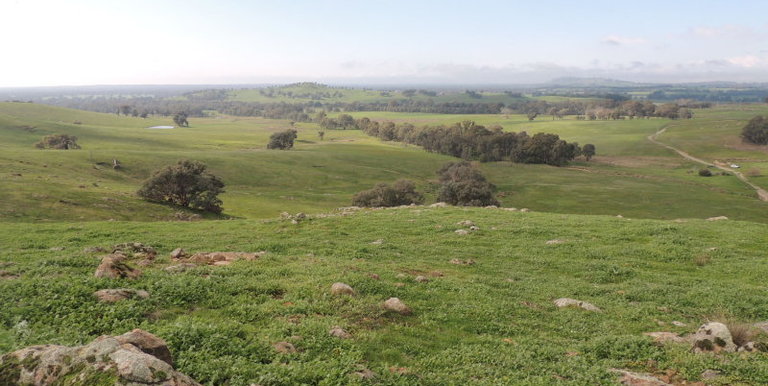 Lot 3, 320 Whites Road, Benalla