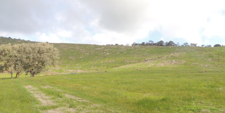 Lot 3, 320 Whites Road, Benalla