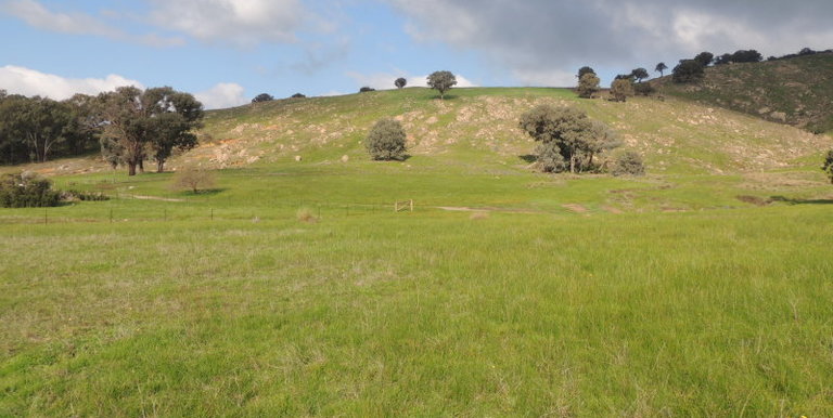 Lot 3, 320 Whites Road, Benalla
