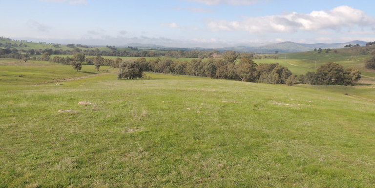 Lot 3, 320 Whites Road, Benalla