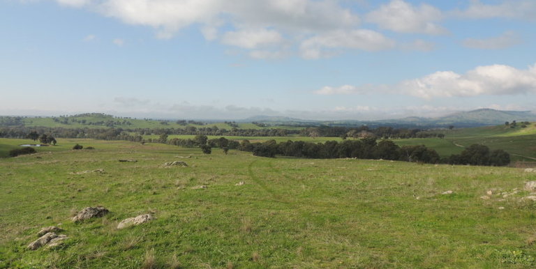 Lot 3, 320 Whites Road, Benalla