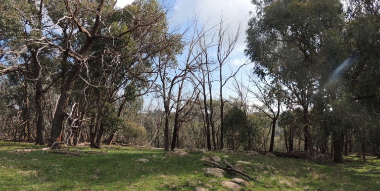 Lot 3, 320 Whites Road, Benalla