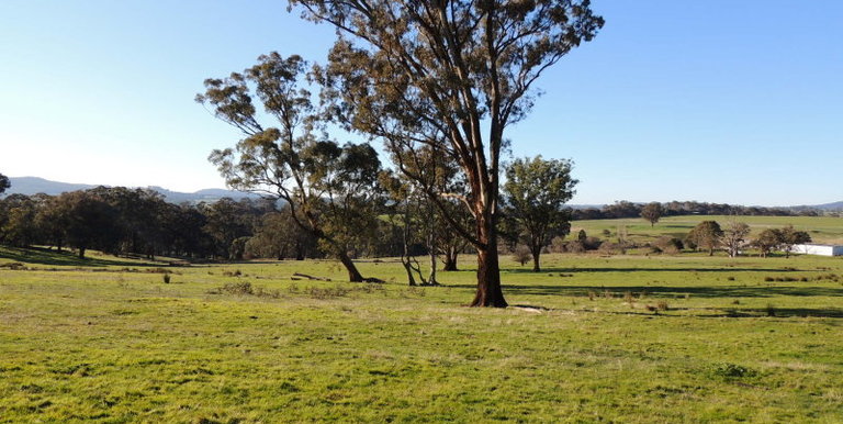 339 Kippings Road, Strathbogie