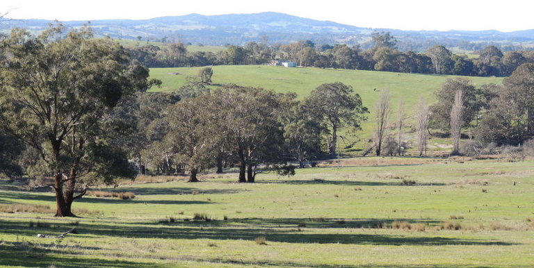339 Kippings Road, Strathbogie