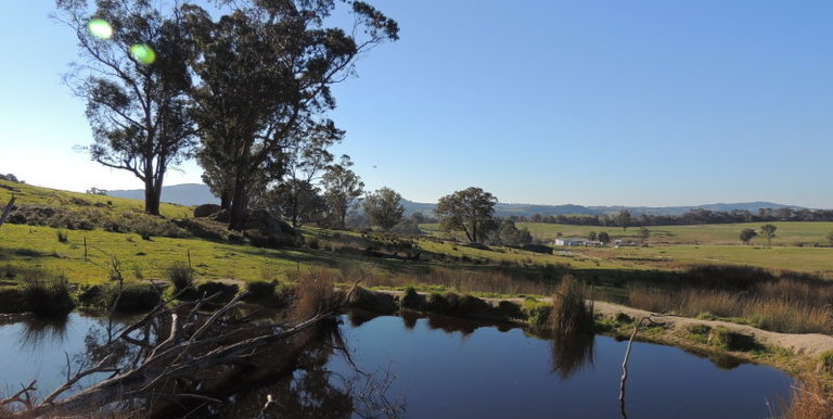 339 Kippings Road, Strathbogie
