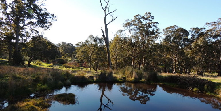 339 Kippings Road, Strathbogie