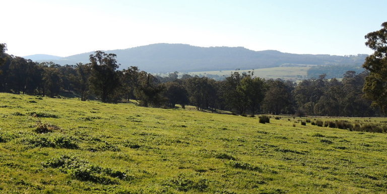 339 Kippings Road, Strathbogie
