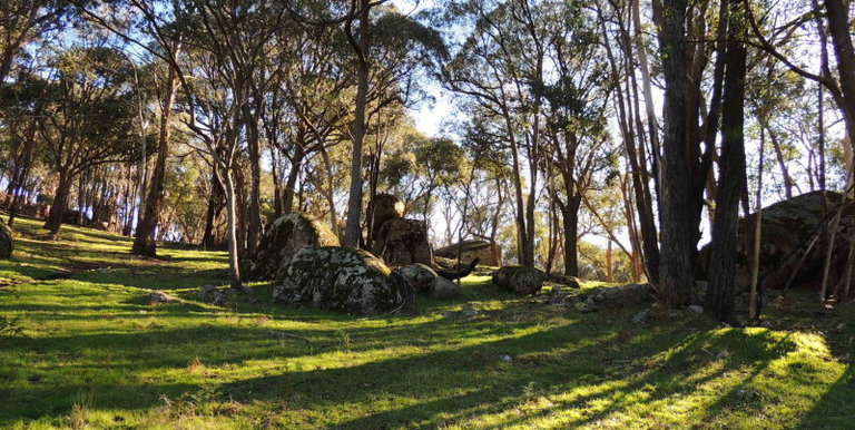 339 Kippings Road, Strathbogie