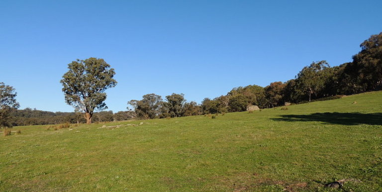 339 Kippings Road, Strathbogie