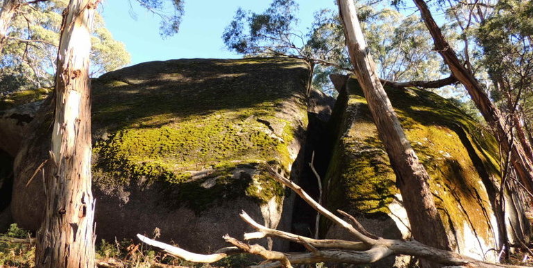339 Kippings Road, Strathbogie