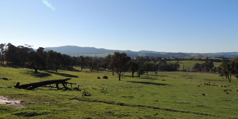 339 Kippings Road, Strathbogie