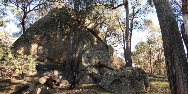 339 Kippings Road, Strathbogie