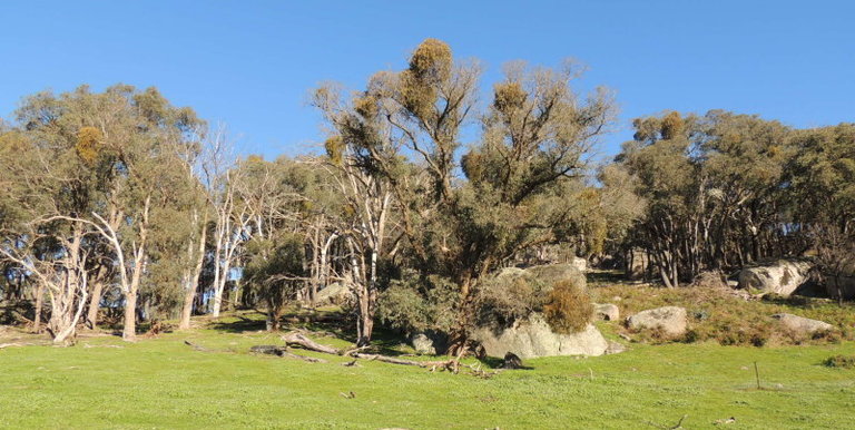 339 Kippings Road, Strathbogie