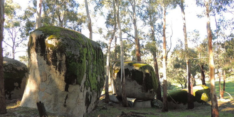 339 Kippings Road, Strathbogie