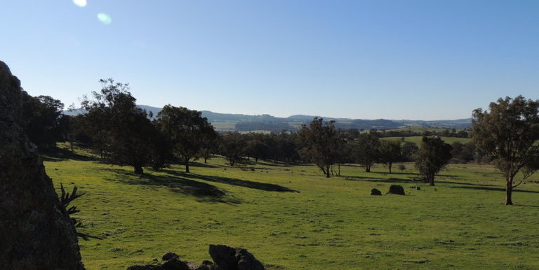 339 Kippings Road, Strathbogie