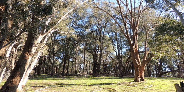 339 Kippings Road, Strathbogie
