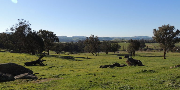 339 Kippings Road, Strathbogie