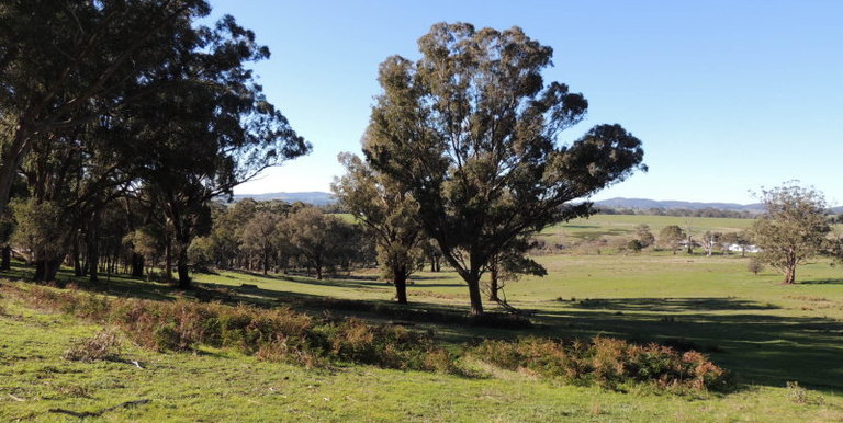 339 Kippings Road, Strathbogie